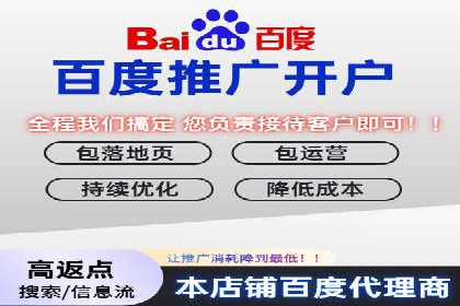 SEM公司案例分享：优化效果与转化率提升策略